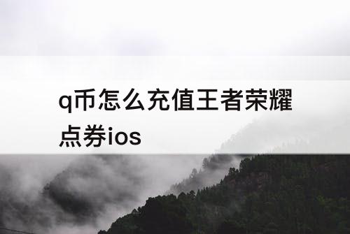 q币怎么充值王者荣耀点券ios
