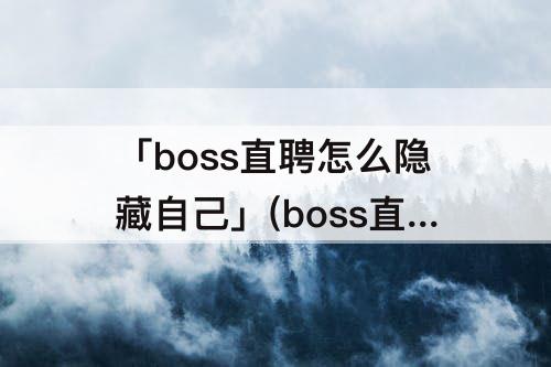 「boss直聘怎么隐藏自己」(boss直聘怎么隐藏自己的简历2022)
