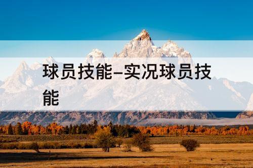 球员技能-实况球员技能