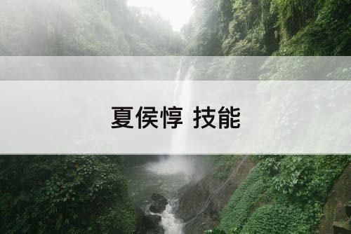 夏侯惇 技能
