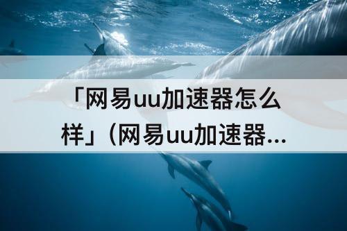 「网易uu加速器怎么样」(网易uu加速器怎么样?)