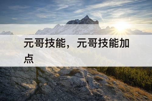 元哥技能，元哥技能加点