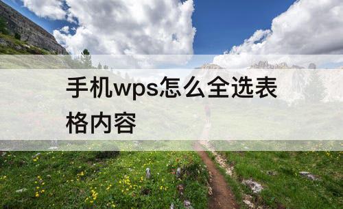 手机wps怎么全选表格内容