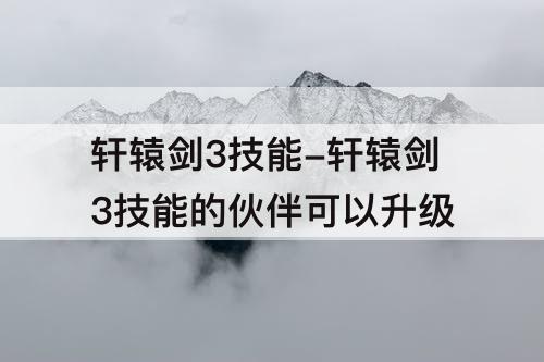 轩辕剑3技能-轩辕剑3技能的伙伴可以升级