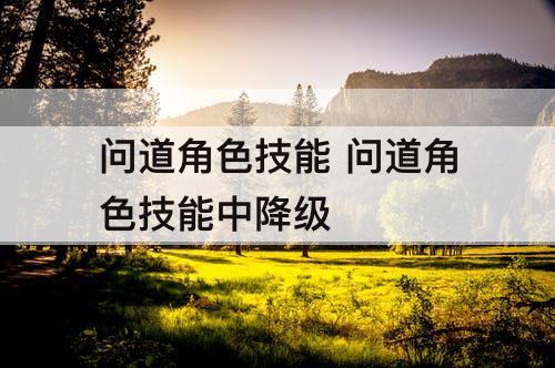 问道角色技能 问道角色技能中降级