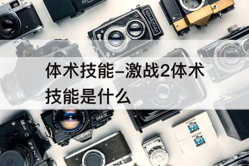 体术技能-激战2体术技能是什么