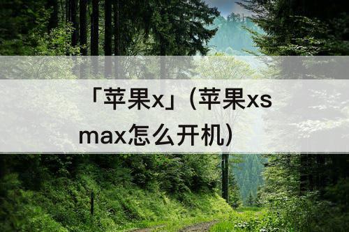 「苹果x」(苹果xsmax怎么开机)