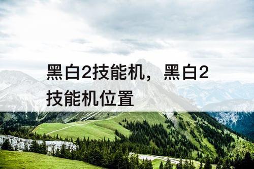 黑白2技能机，黑白2技能机位置
