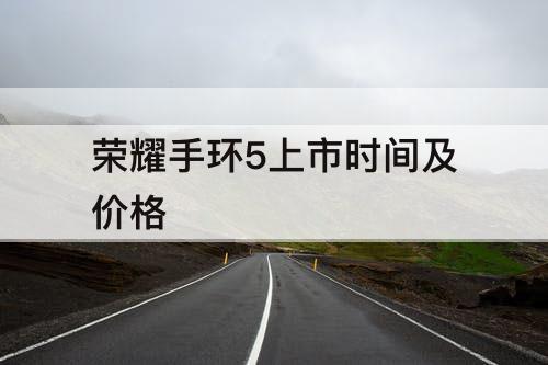 荣耀手环5上市时间及价格