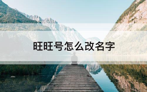 旺旺号怎么改名字