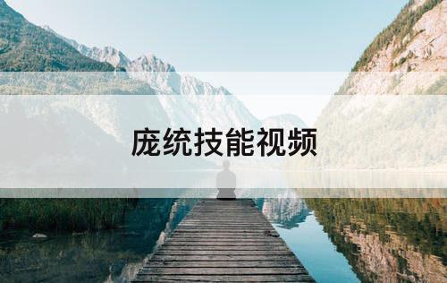 庞统技能视频