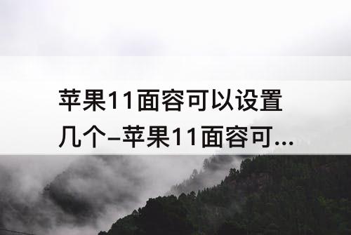 苹果11面容可以设置几个-苹果11面容可以设置几个人