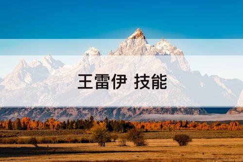 王雷伊 技能