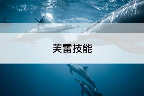 芙雷技能