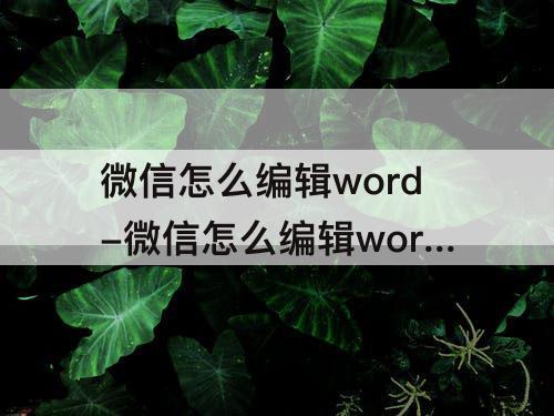 微信怎么编辑word-微信怎么编辑word文档名字