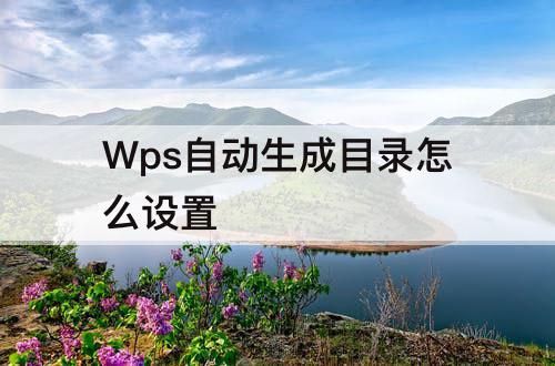 Wps自动生成目录怎么设置