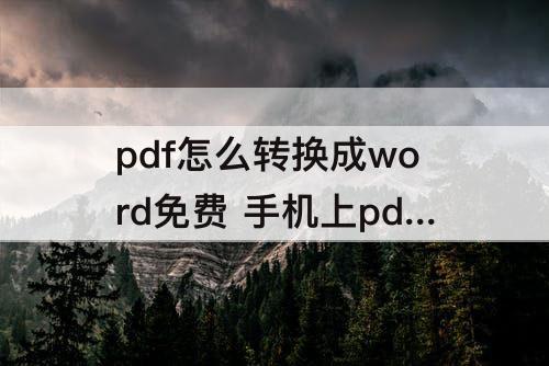 pdf怎么转换成word免费 手机上pdf怎么转换成word免费苹果