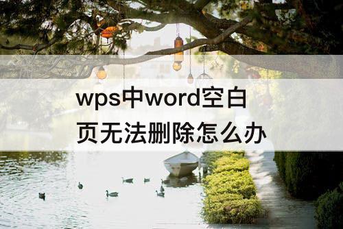 wps中word空白页无法删除怎么办