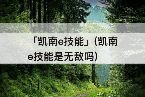 「凯南e技能」(凯南e技能是无敌吗)
