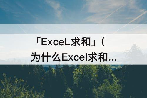 「ExceL求和」(为什么Excel求和公式计算出来不正确)