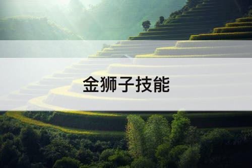 金狮子技能