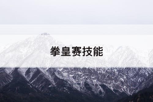 拳皇赛技能
