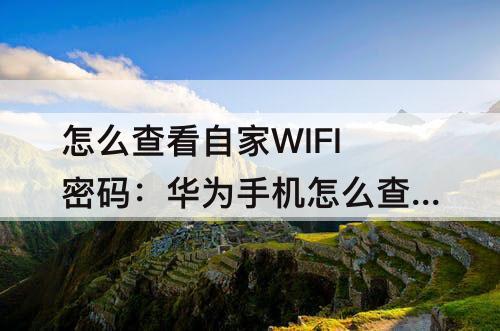 怎么查看自家WIFI密码：华为手机怎么查看自家wifi密码
