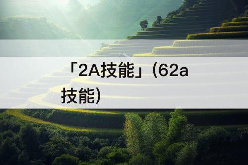 「2A技能」(62a技能)