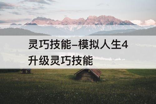 灵巧技能-模拟人生4升级灵巧技能