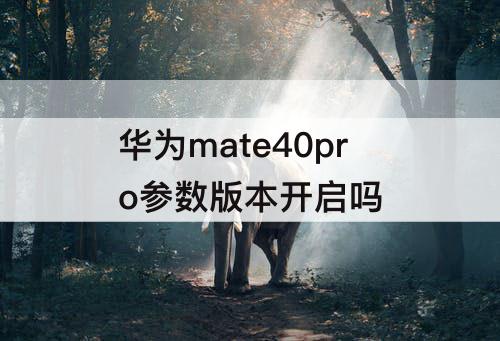 华为mate40pro参数版本开启吗
