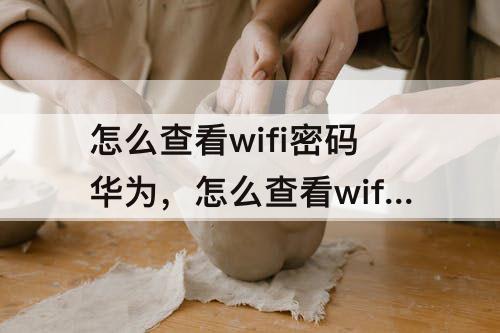怎么查看wifi密码华为，怎么查看wifi密码华为手机能不能用鸿蒙操作系统