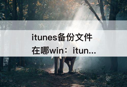itunes备份文件在哪win：itunes备份文件在哪win10怎么删除