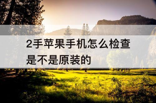 2手苹果手机怎么检查是不是原装的