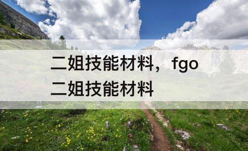 二姐技能材料，fgo二姐技能材料