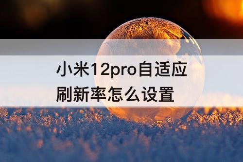 小米12pro自适应刷新率怎么设置