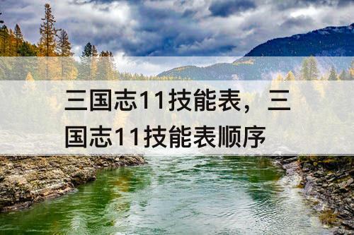 三国志11技能表，三国志11技能表顺序