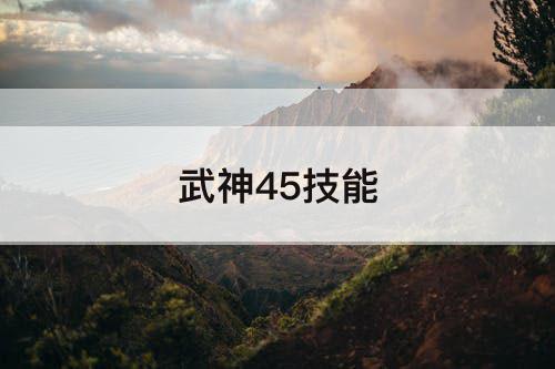武神45技能