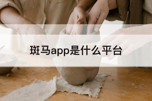 斑马app是什么平台