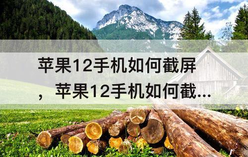 苹果12手机如何截屏，苹果12手机如何截屏截图