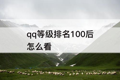 qq等级排名100后怎么看