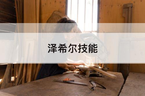 泽希尔技能