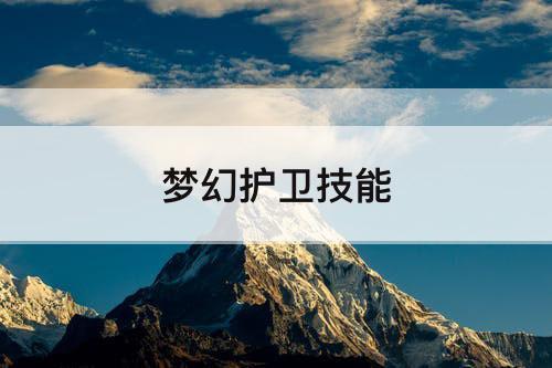 梦幻护卫技能