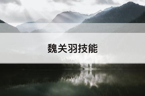 魏关羽技能