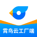 霄鸟云工厂端2024