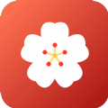 春晓宝