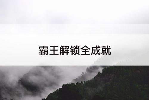 霸王解锁全成就