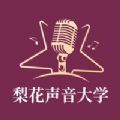 梨花声音大学