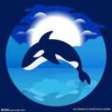 海洋金缘app