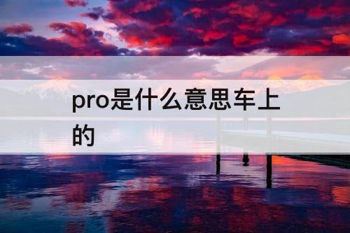 pro是什么意思车上的
