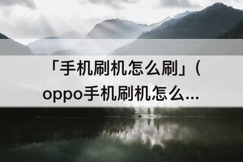 「手机刷机怎么刷」(oppo手机刷机怎么刷机教程视频)